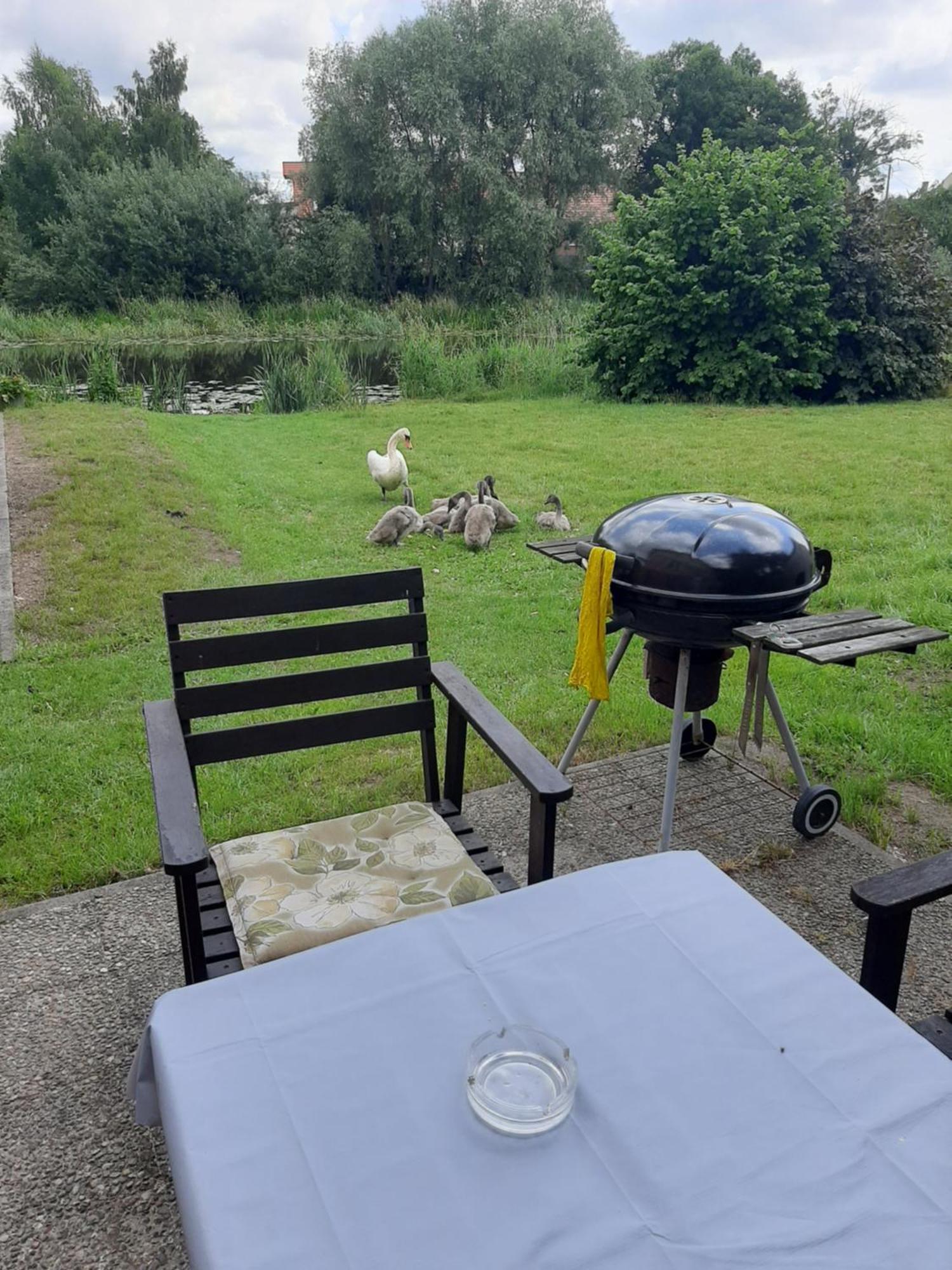 Apartament Nad Woda Marzecino Dış mekan fotoğraf
